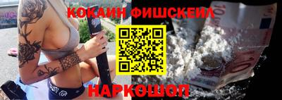 крисы Пенза