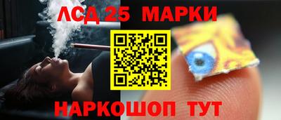 крисы Пенза