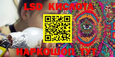 крисы Пенза