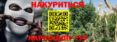 крисы Пенза