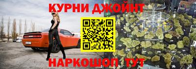 крисы Пенза