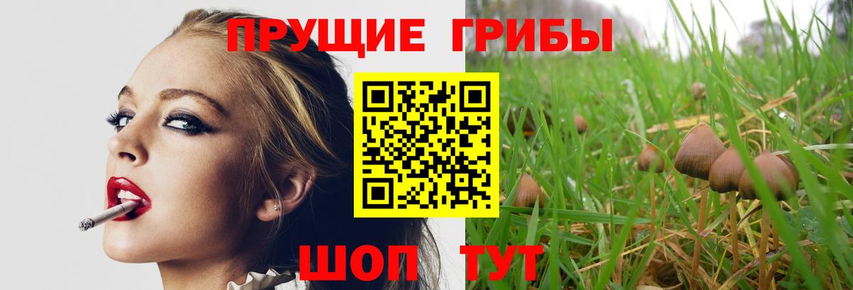 Галлюциногенные грибы ЛСД Морозовск